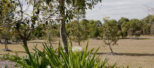 central park caboolture