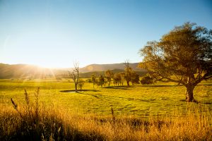 the fairways hatton vale qm properties