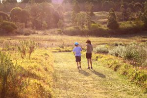 hatton vale ridge land for sale qm properties