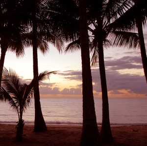noosa waters qm properties previous projects