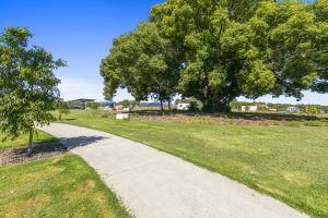 river oaks oak tree park qm properties