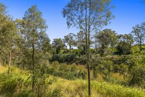 river oaks riverside living qm properties