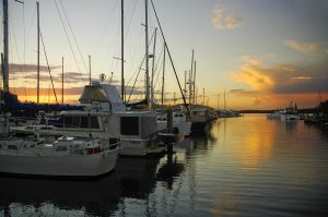 tin can bay villas star marinas qm properties