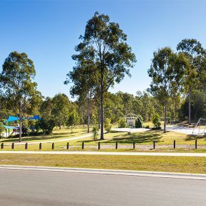 Jimboomba Woods