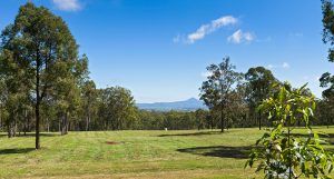 cedar forest qm properties previous projects