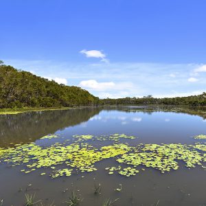 centarl springs caboolture