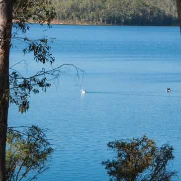 river glen qm properties