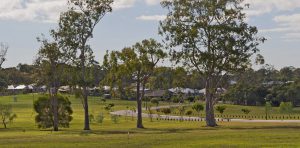sanctuary grove qm properties previous projects real estate
