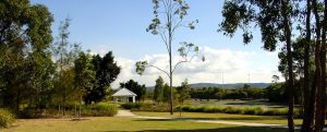 norfolk lakes qm properties