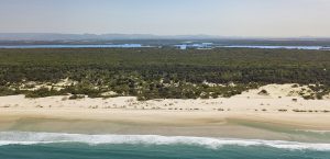 may news south stradebroke island waters