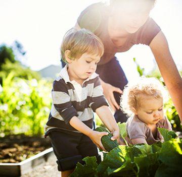 covenants gardening brochure 2018 qm properties