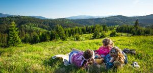 Meadows at Plainland acreage land for sale qm properties