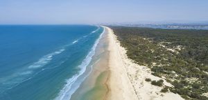 south stradebroke island waters qm properties september news