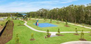Central Springs Park february enews news