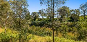 River Oaks Logan Village April News acreage