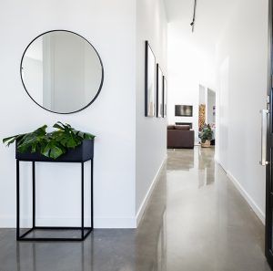 The Most Resilient Indoor House Plants And Herb