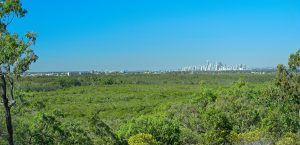 December Enews Coomera Waters