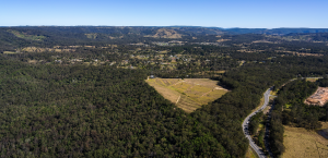 Meadows at D'Aguilar
